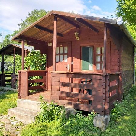 Bungalow Camping Edelweiss - Floare De Colt - Gyopar 리메테아 외부 사진