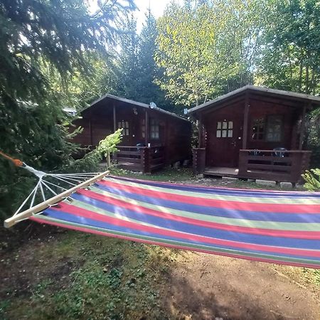 Bungalow Camping Edelweiss - Floare De Colt - Gyopar 리메테아 외부 사진