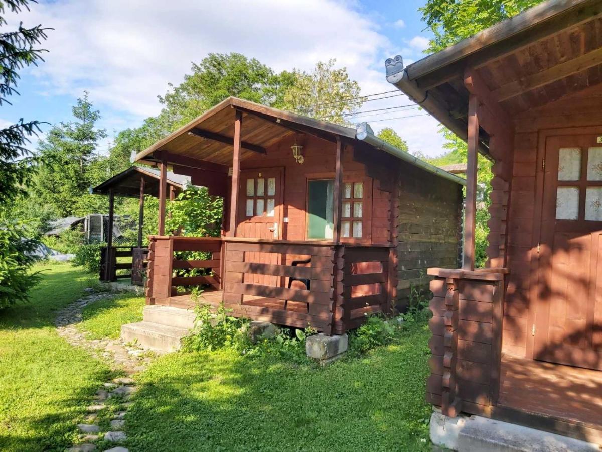 Bungalow Camping Edelweiss - Floare De Colt - Gyopar 리메테아 외부 사진