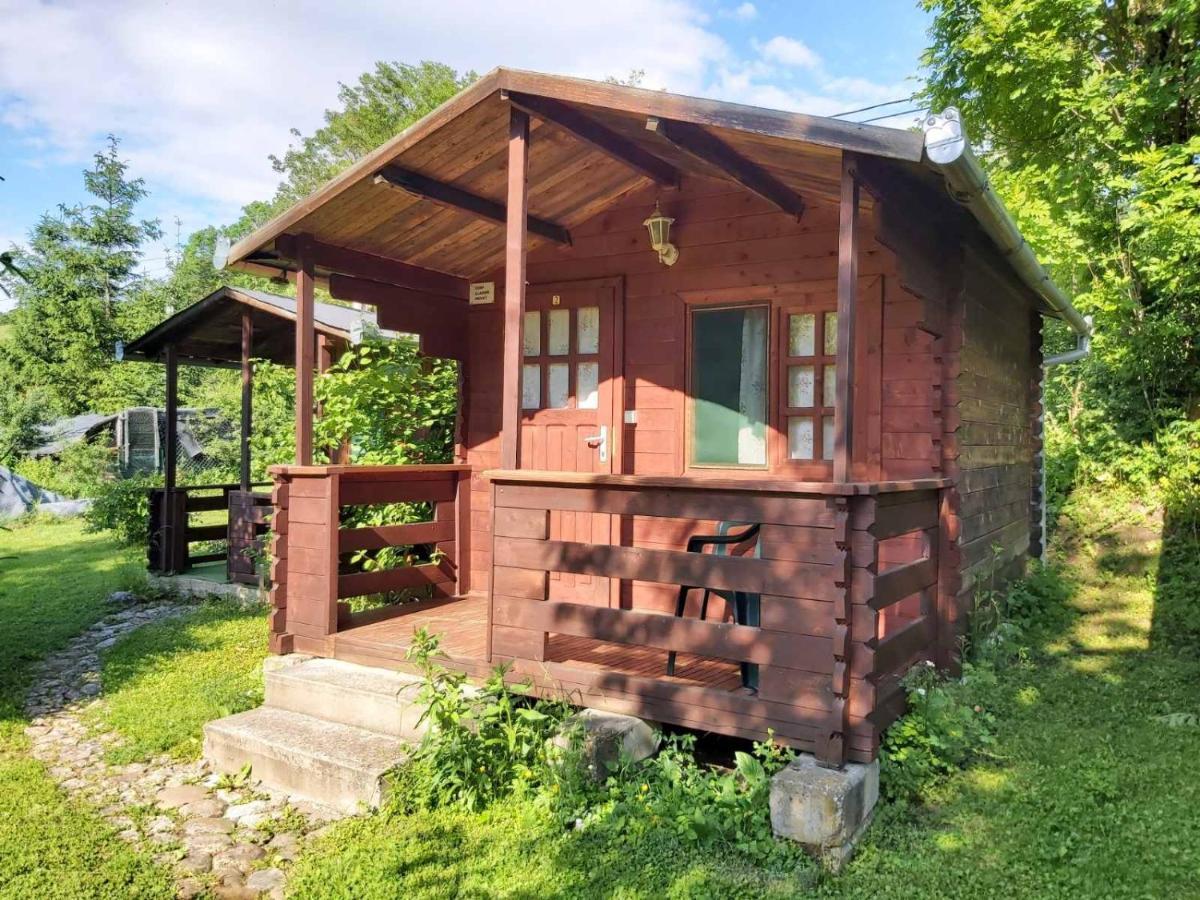 Bungalow Camping Edelweiss - Floare De Colt - Gyopar 리메테아 외부 사진
