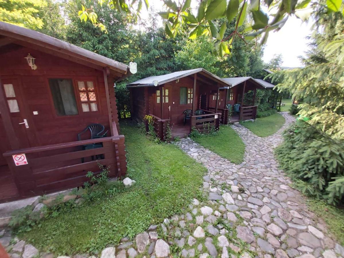 Bungalow Camping Edelweiss - Floare De Colt - Gyopar 리메테아 외부 사진