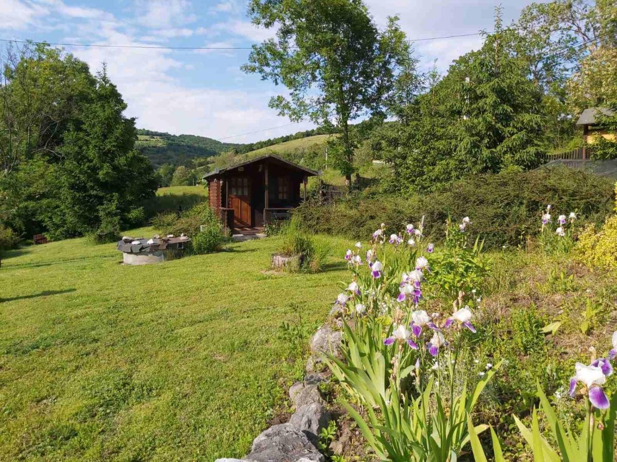 Bungalow Camping Edelweiss - Floare De Colt - Gyopar 리메테아 외부 사진