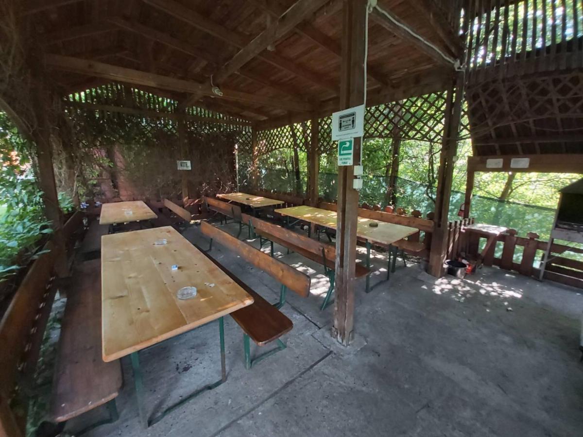 Bungalow Camping Edelweiss - Floare De Colt - Gyopar 리메테아 외부 사진