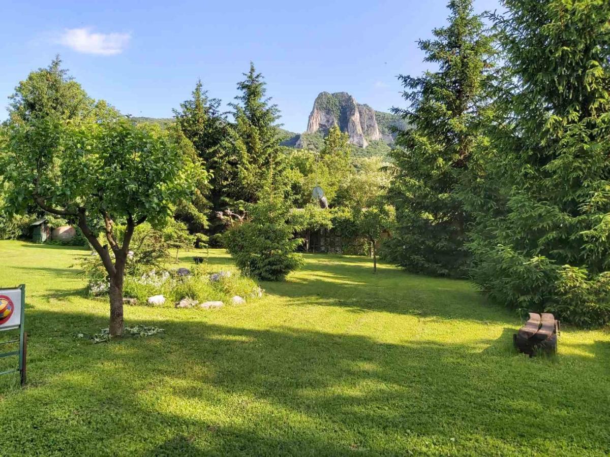 Bungalow Camping Edelweiss - Floare De Colt - Gyopar 리메테아 외부 사진