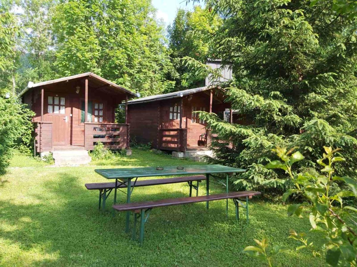 Bungalow Camping Edelweiss - Floare De Colt - Gyopar 리메테아 외부 사진