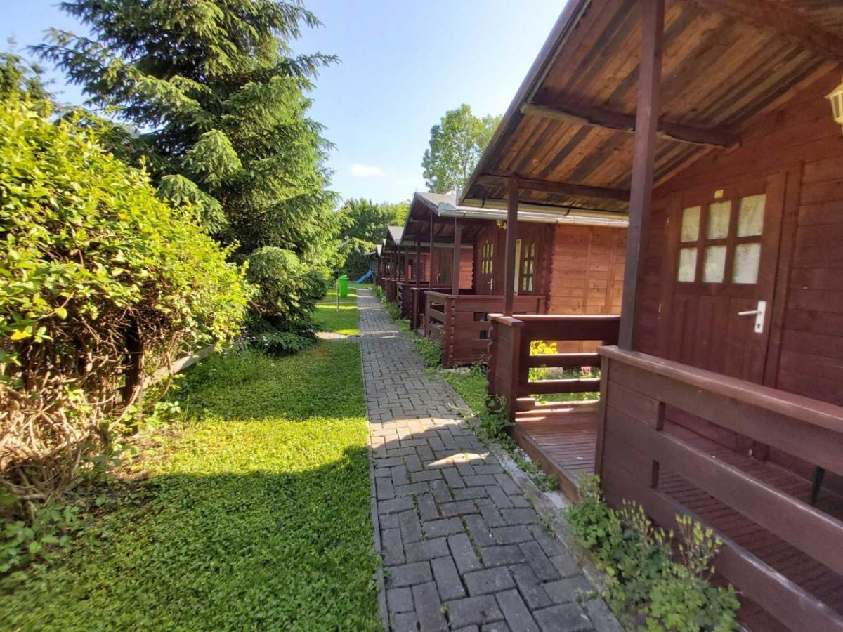 Bungalow Camping Edelweiss - Floare De Colt - Gyopar 리메테아 외부 사진