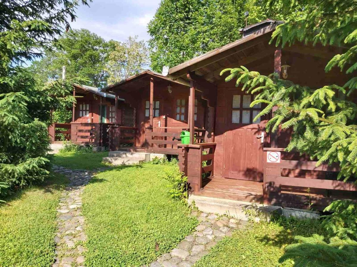Bungalow Camping Edelweiss - Floare De Colt - Gyopar 리메테아 외부 사진