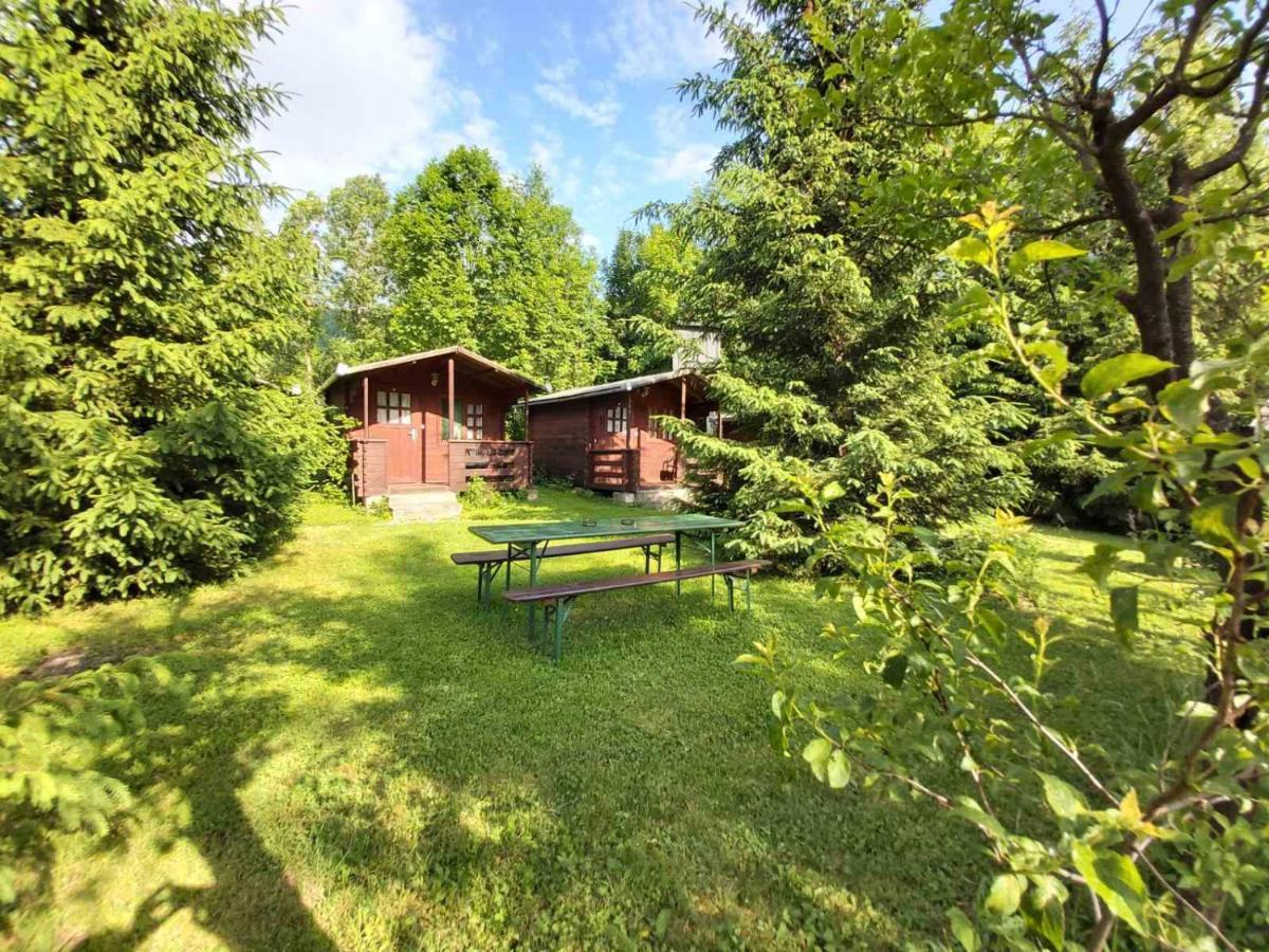 Bungalow Camping Edelweiss - Floare De Colt - Gyopar 리메테아 외부 사진