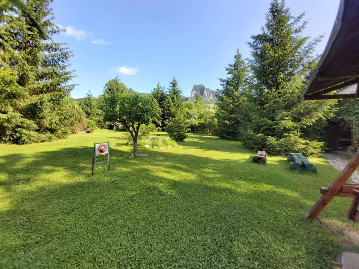 Bungalow Camping Edelweiss - Floare De Colt - Gyopar 리메테아 외부 사진