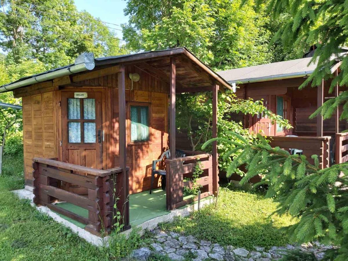 Bungalow Camping Edelweiss - Floare De Colt - Gyopar 리메테아 외부 사진